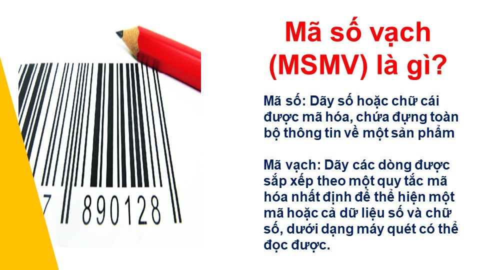 Mã số vạch (MSMV) là gì?