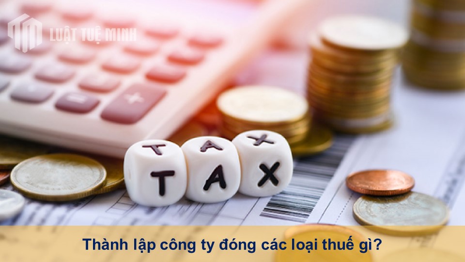 Thành lập công ty đóng các loại thuế gì? Cách tính thuế phải nộp