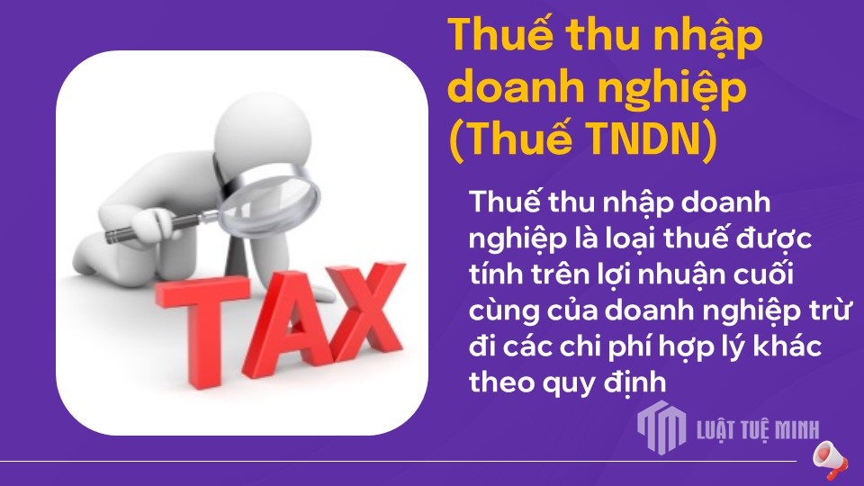 Thuế thu nhập doanh nghiệp (Thuế TNDN)