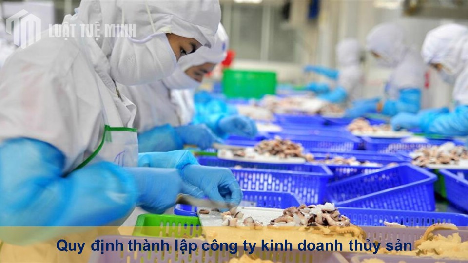 Quy định thành lập công ty kinh doanh thủy sản bạn cần lưu ý