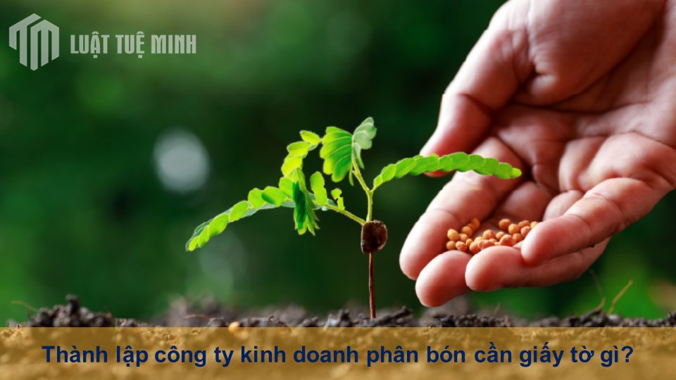 Thành lập công ty kinh doanh phân bón cần giấy tờ gì?