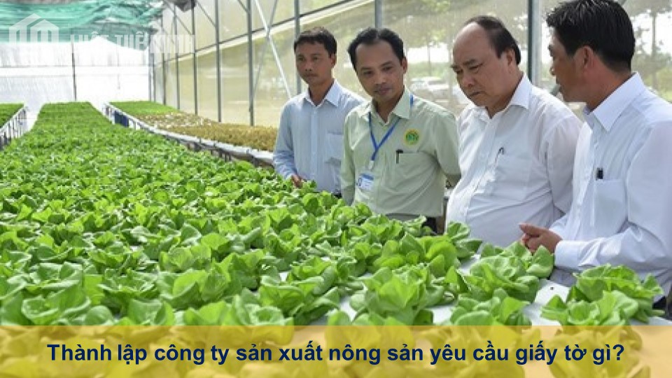 Thành lập công ty sản xuất nông sản yêu cầu giấy tờ gì?