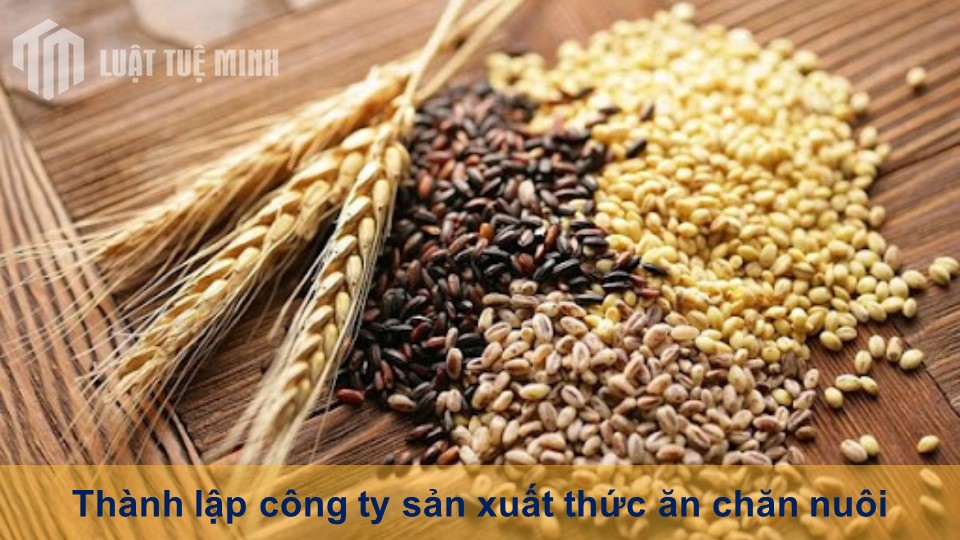 Thành lập công ty sản xuất thức ăn chăn nuôi đầy đủ nhất