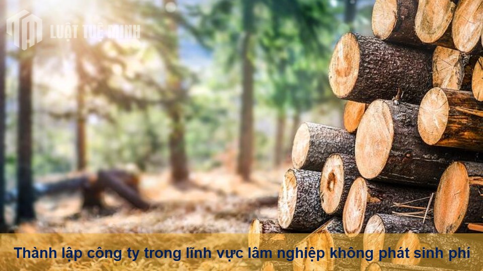 Thành lập công ty trong lĩnh vực lâm nghiệp không phát sinh phí