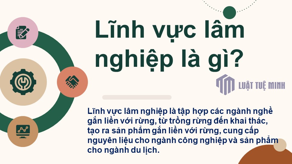 Lĩnh vực lâm nghiệp là gì? 