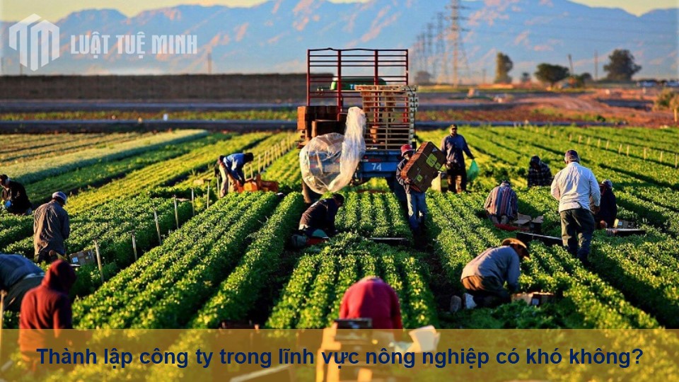 Thành lập công ty trong lĩnh vực nông nghiệp có khó không?