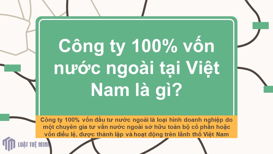 Công ty 100% vốn nước ngoài tại Việt Nam là gì?