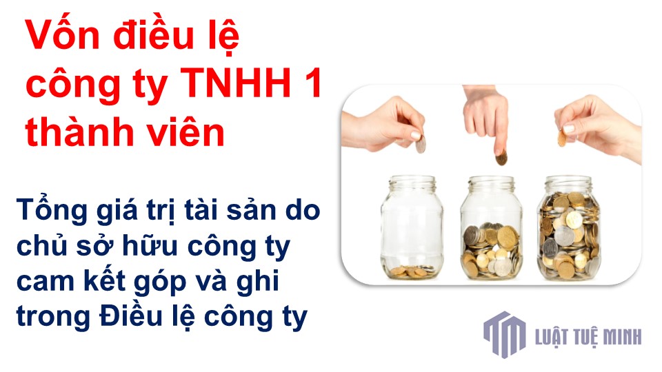 Vốn điều lệ công ty TNHH 1 thành viên