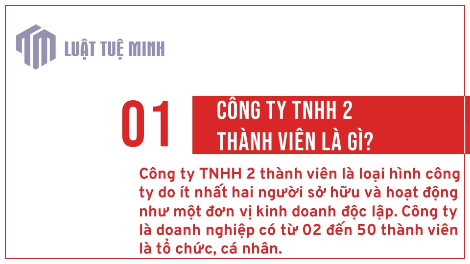 Công ty TNHH 2 thành viên là gì?