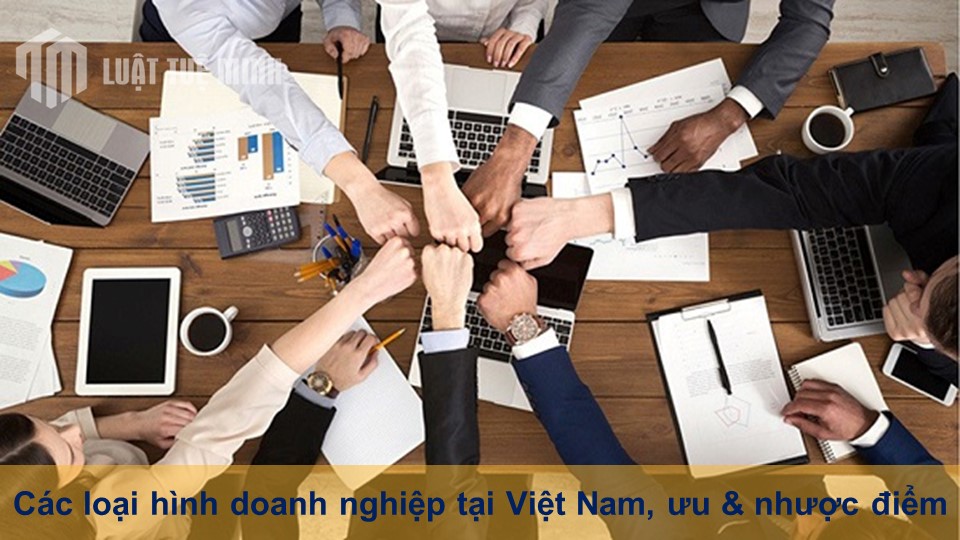 Các loại hình doanh nghiệp tại Việt Nam, ưu & nhược điểm