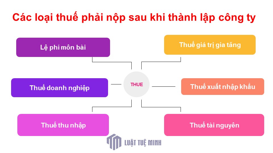 Các loại thuế phải nộp sau khi thành lập công ty