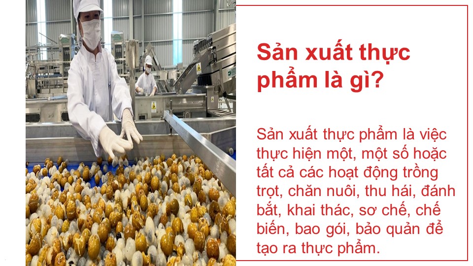 Sản xuất thực phẩm là gì? 