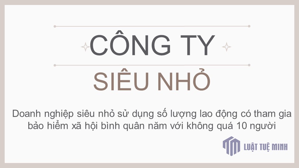 Công ty siêu nhỏ là gì ?