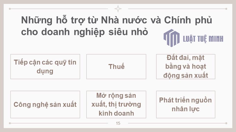 Những hỗ trợ từ Nhà nước và Chính phủ cho doanh nghiệp siêu nhỏ