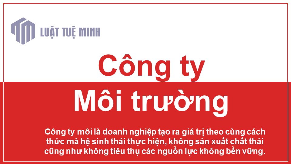 Công ty môi trường là gì?