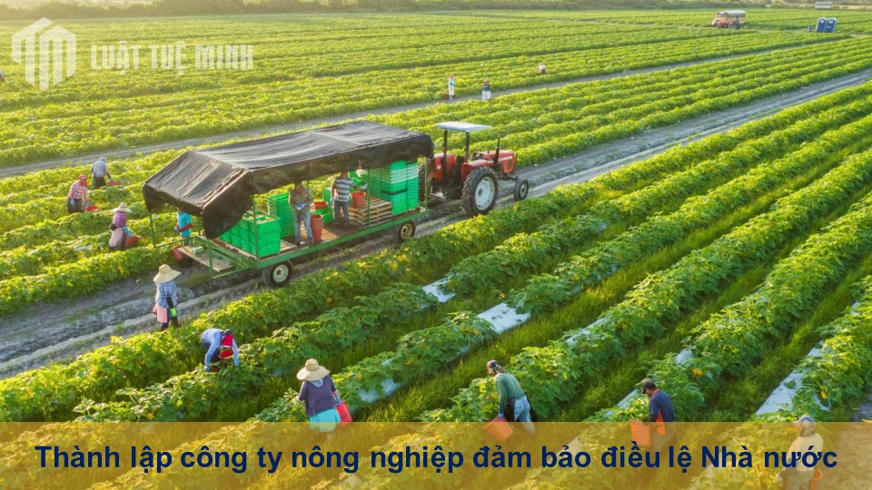 Thành lập công ty nông nghiệp đảm bảo điều lệ Nhà nước