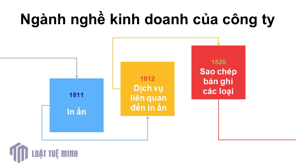 Ngành nghề kinh doanh của công ty 