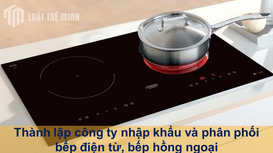 Thành lập công ty nhập khẩu và phân phối bếp điện từ, bếp hồng ngoại