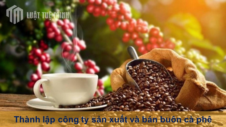 Thành lập công ty sản xuất và bán buôn cà phê:  Điều kiện, thủ tục, chi phí