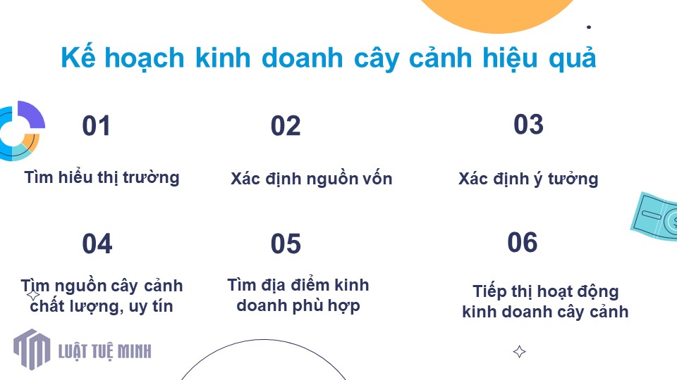 Kế hoạch kinh doanh cây cảnh hiệu quả