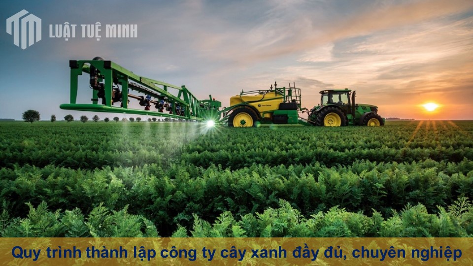 Quy trình thành lập công ty cây xanh đầy đủ, chuyên nghiệp