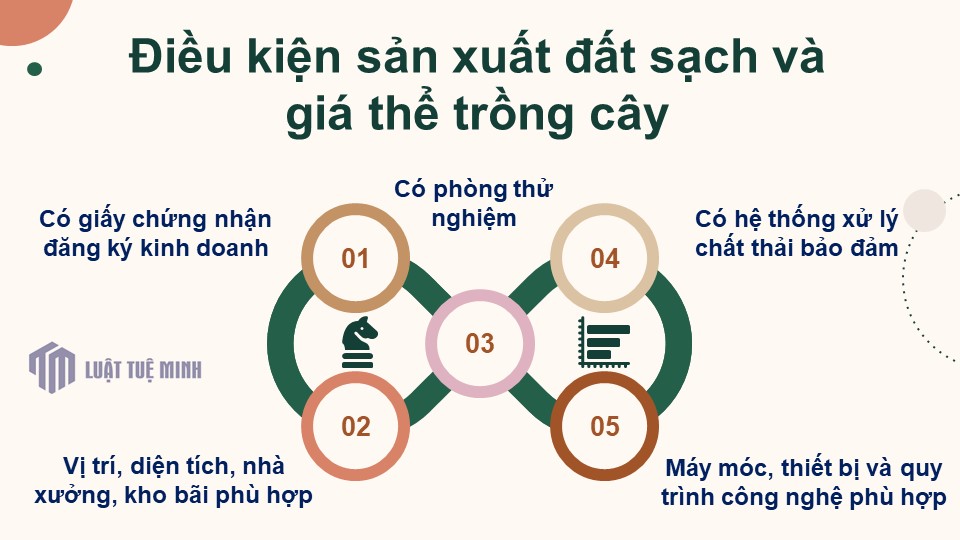 Điều kiện sản xuất đất sạch và giá thể trồng cây