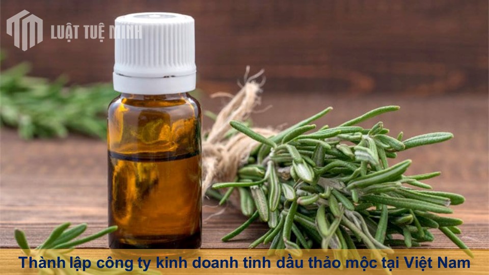 Thành lập công ty kinh doanh tinh dầu thảo mộc tại Việt Nam