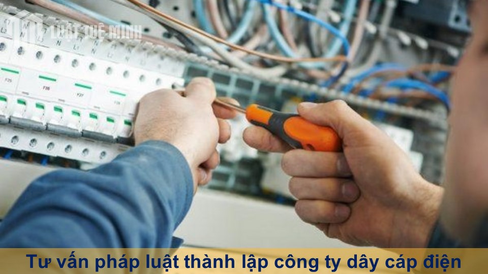 Tư vấn pháp luật thành lập công ty dây cáp điện