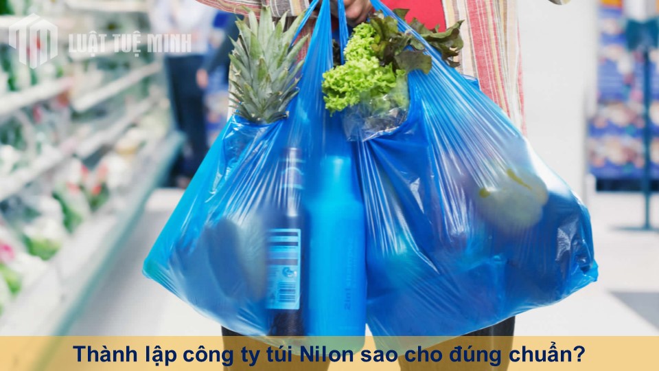 Thành lập công ty túi Nilon sao cho đúng chuẩn?