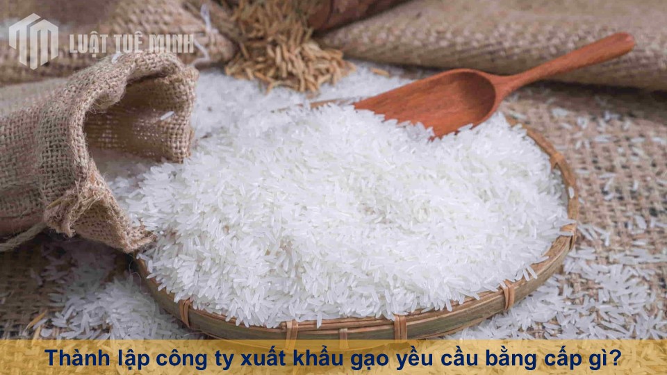 Thành lập công ty xuất khẩu gạo yều cầu bằng cấp gì?