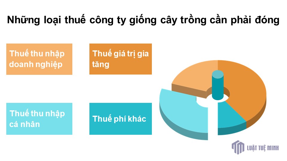 Những loại thuế công ty giống cây trồng cần phải đóng