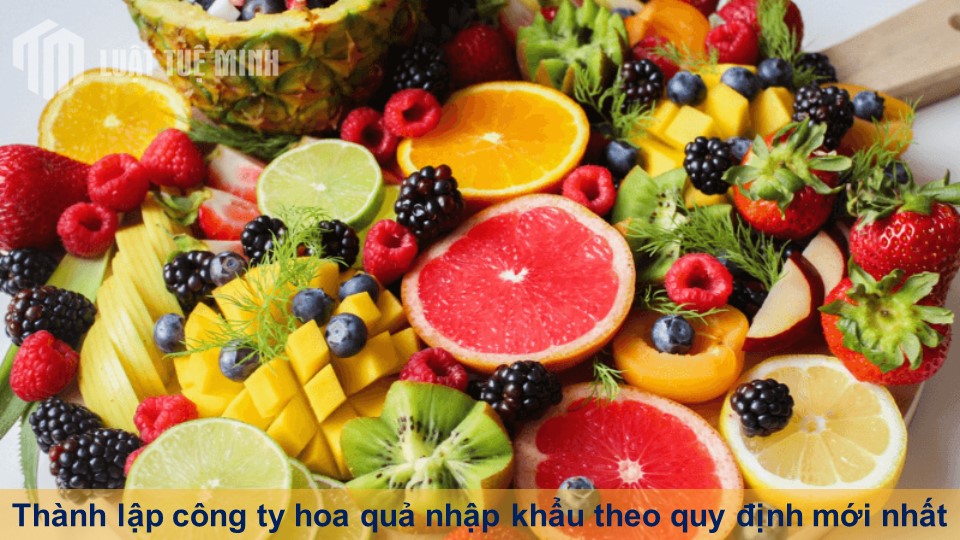 Thành lập công ty hoa quả nhập khẩu theo quy định mới nhất