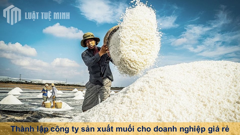 Thành lập công ty sản xuất muối cho doanh nghiệp giá rẻ