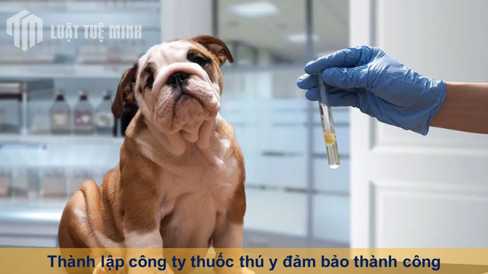 Thành lập công ty thuốc thú y đảm bảo thành công