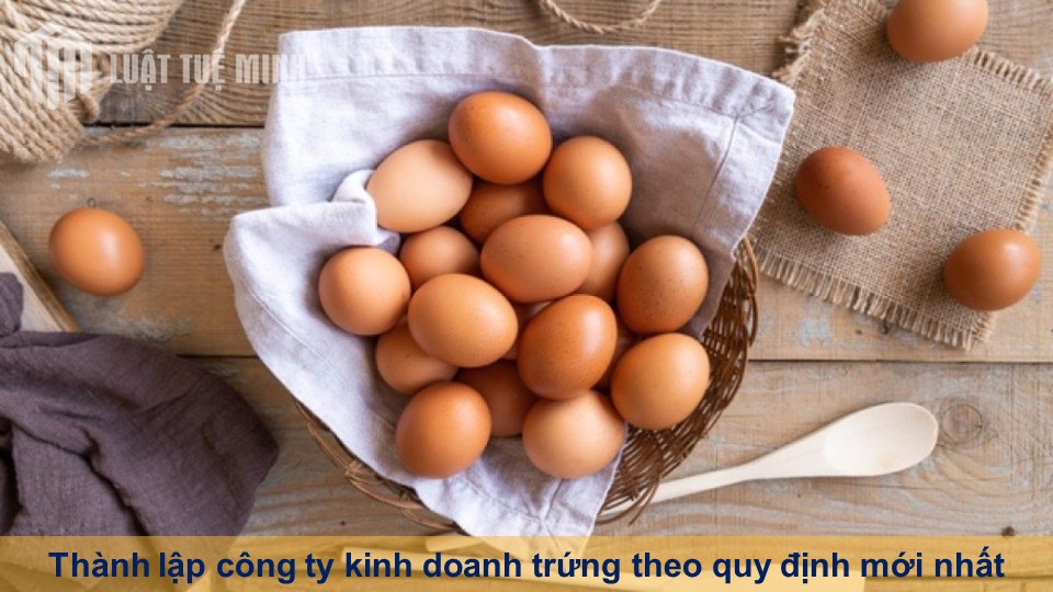 Thành lập công ty kinh doanh trứng theo quy định mới nhất