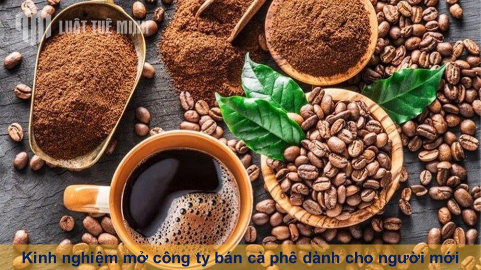 Kinh nghiệm mở công ty bán cà phê dành cho người mới bắt đầu