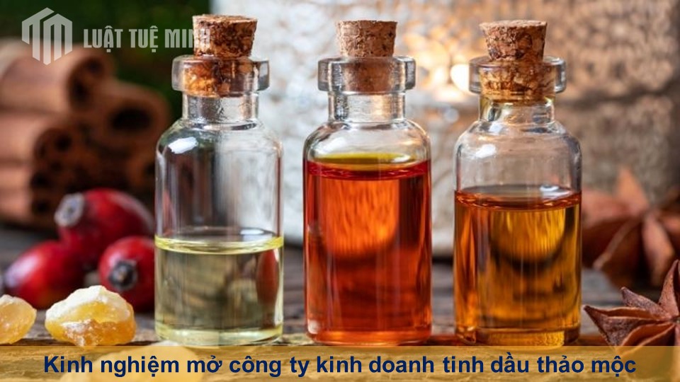 Kinh nghiệm mở công ty kinh doanh tinh dầu thảo mộc