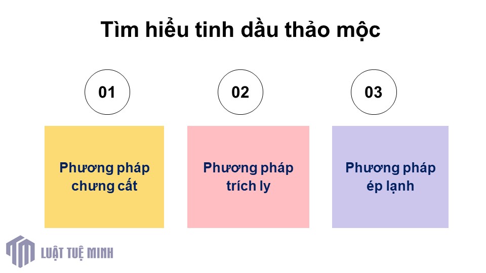 Tìm hiểu tinh dầu thảo mộc