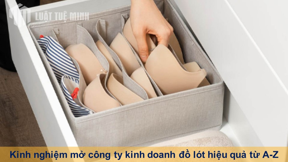 Kinh nghiệm mở công ty kinh doanh đồ lót hiệu quả từ A-Z