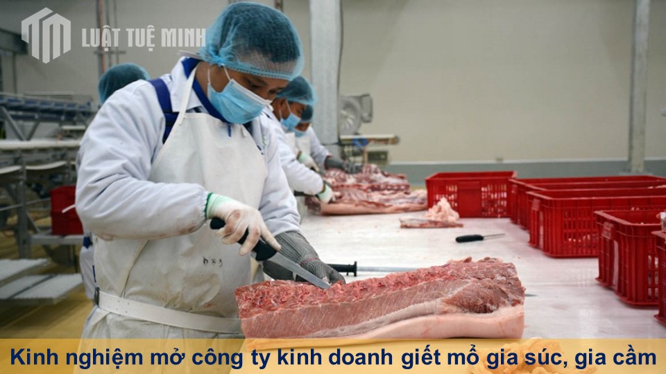 Kinh nghiệm mở công ty kinh doanh giết mổ gia súc, gia cầm