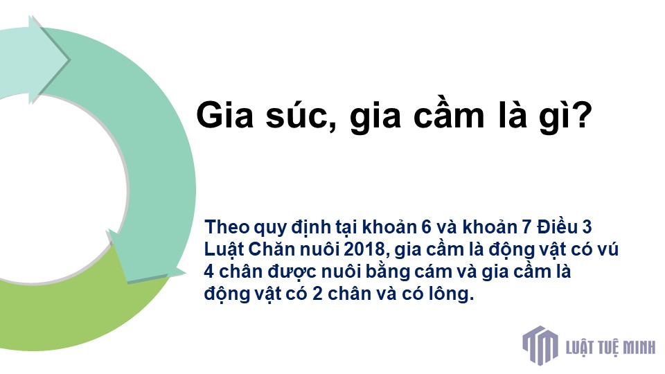 Gia súc, gia cầm là gì?