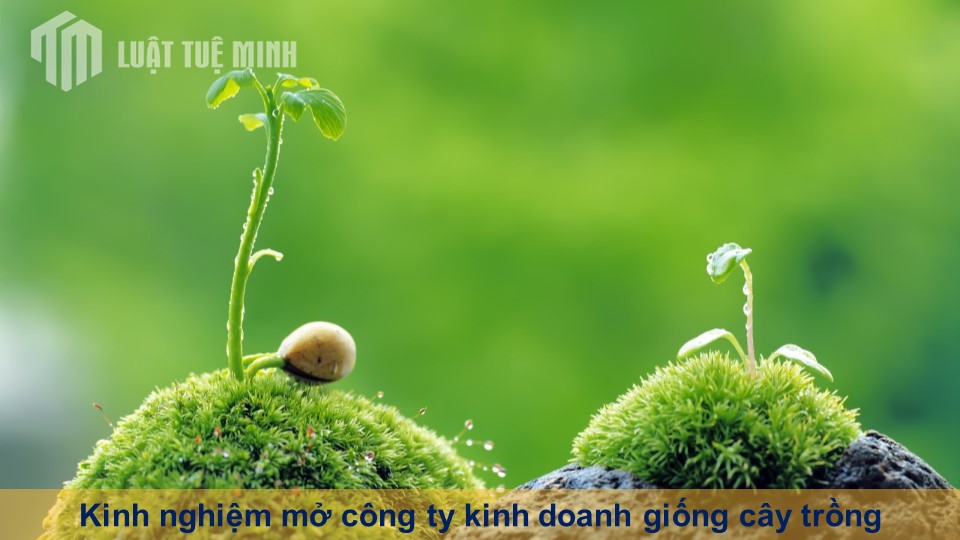 Kinh nghiệm mở công ty kinh doanh giống cây trồng cho người mới