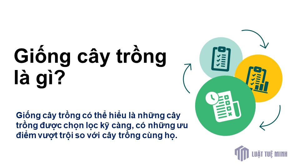 Giống cây trồng là gì?