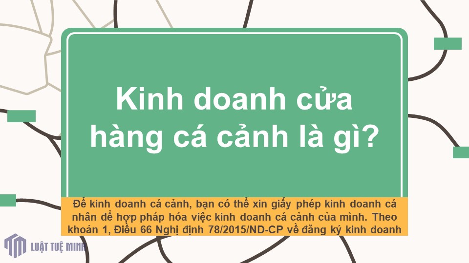 Kinh nghiệm mở công ty kinh doanh cửa hàng cá cảnh