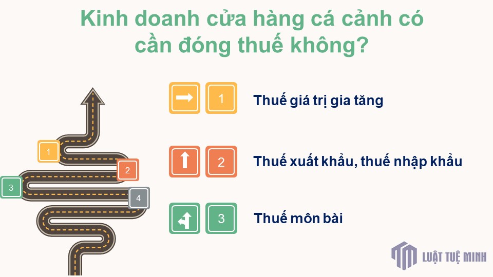 Kinh doanh cửa hàng cá cảnh có cần đóng thuế không?