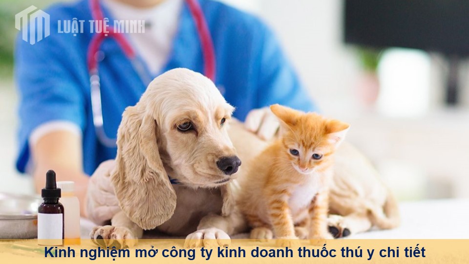 Kinh nghiệm mở công ty kinh doanh thuốc thú y chi tiết