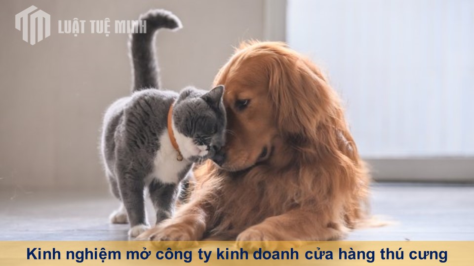 Kinh nghiệm mở công ty kinh doanh cửa hàng thú cưng