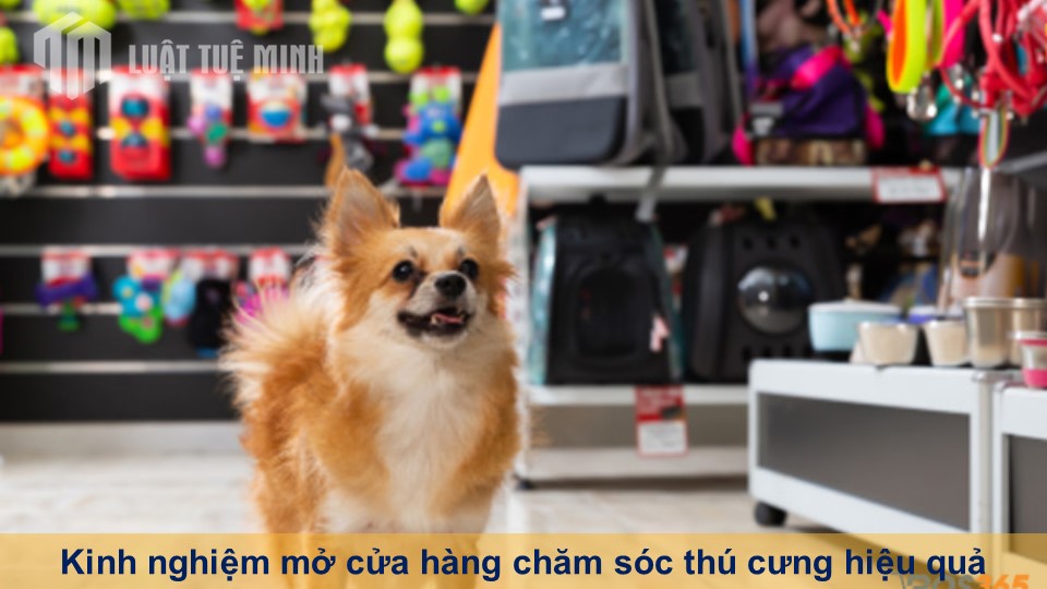 Kinh nghiệm mở cửa hàng chăm sóc thú cưng hiệu quả