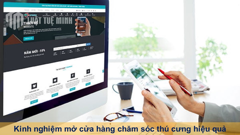 Kinh nghiệm thành lập công ty thiết kế Website cập nhật 2024