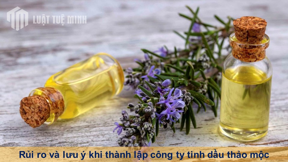 Rủi ro và lưu ý khi thành lập công ty tinh dầu thảo mộc tại Việt Nam